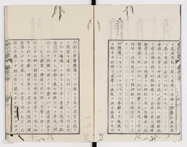 K0021s0649