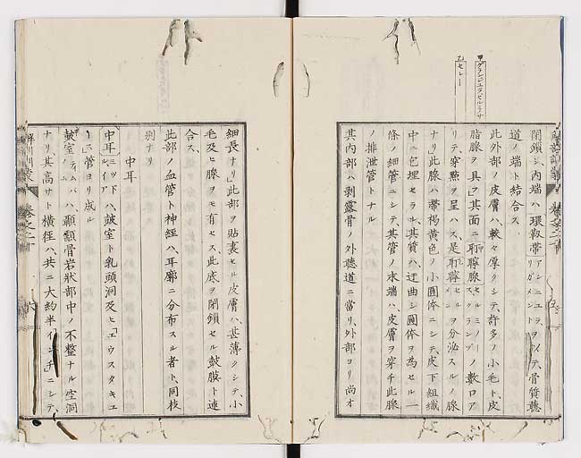 K0021s0650