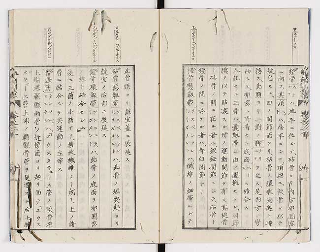 K0021s0654