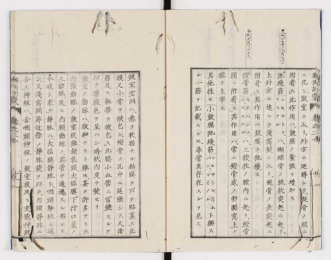 K0021s0655