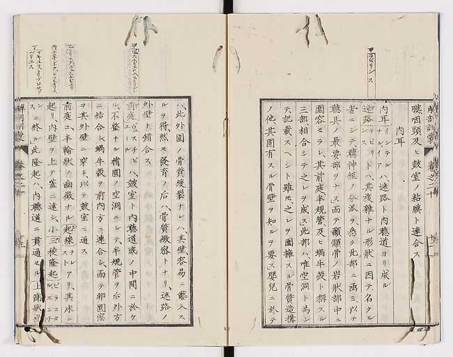 K0021s0657