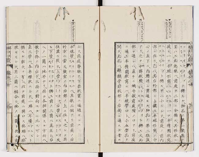 K0021s0658