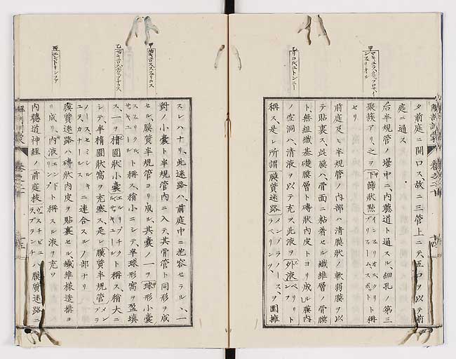 K0021s0659