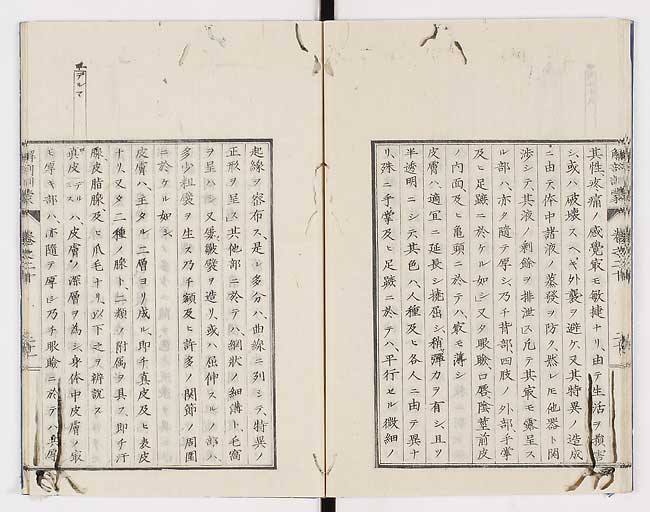 K0021s0665