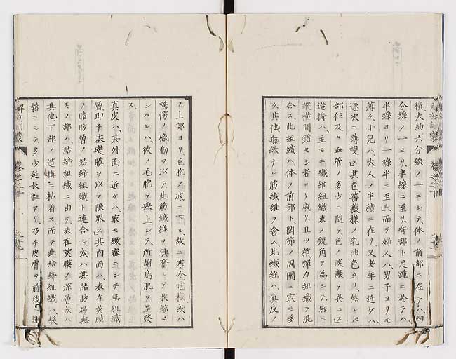 K0021s0666