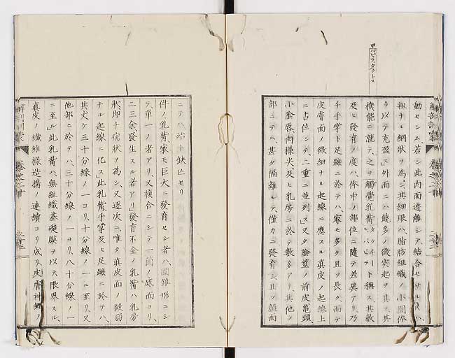 K0021s0667