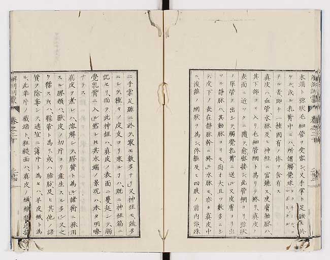 K0021s0668