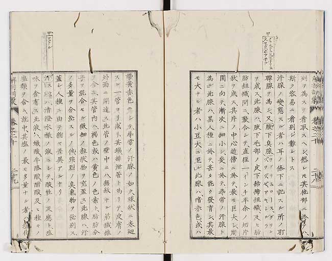 K0021s0673