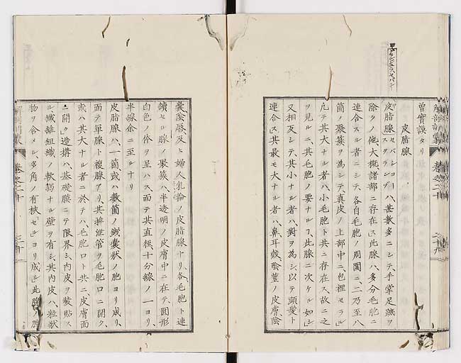 K0021s0674