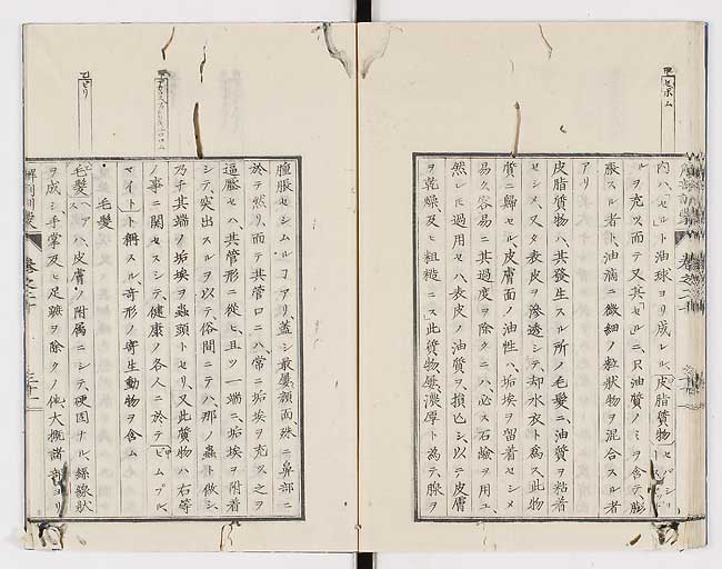 K0021s0675