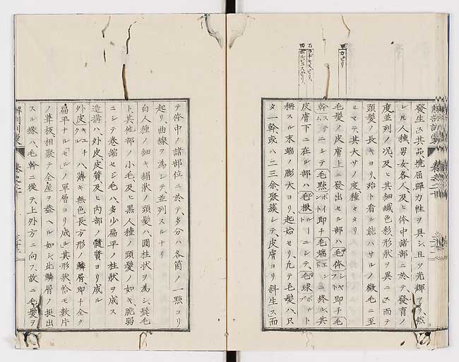 K0021s0676