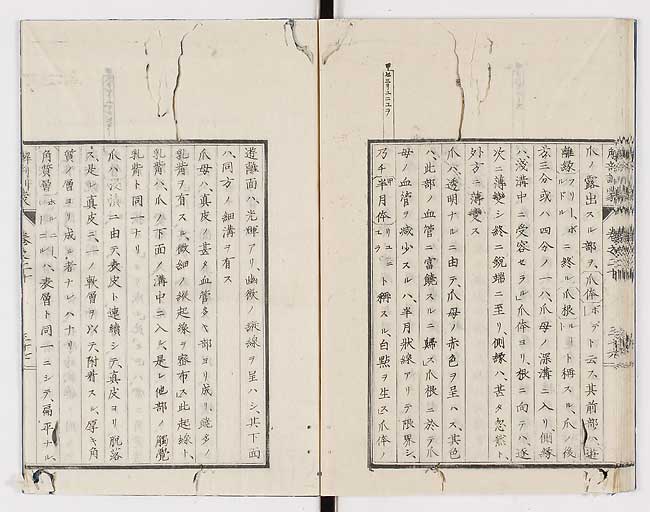 K0021s0681