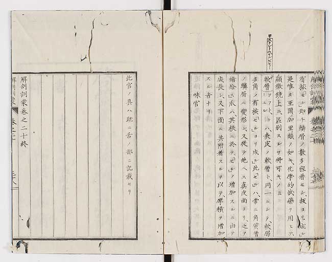 K0021s0682
