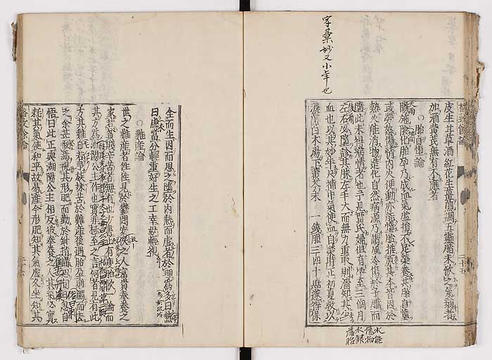 K0022s0033