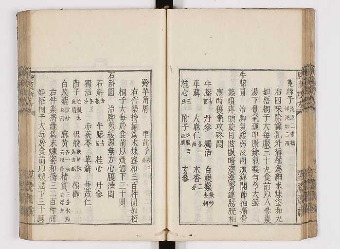 K0024s0041