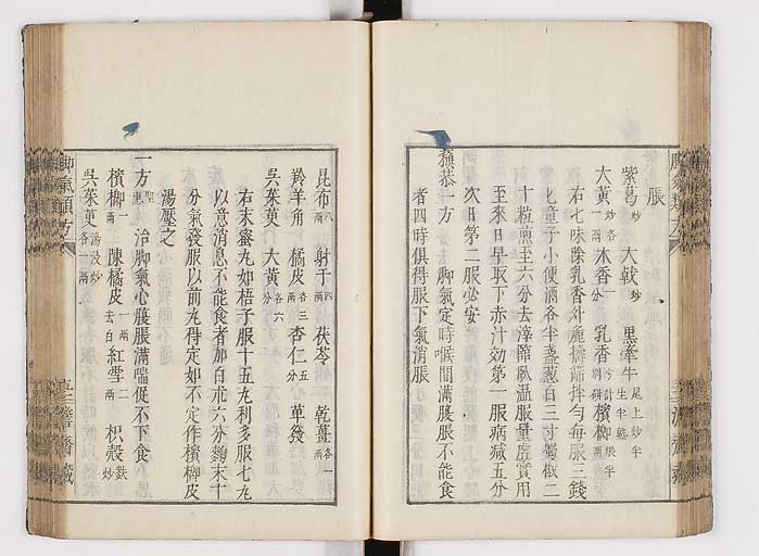 K0024s0060