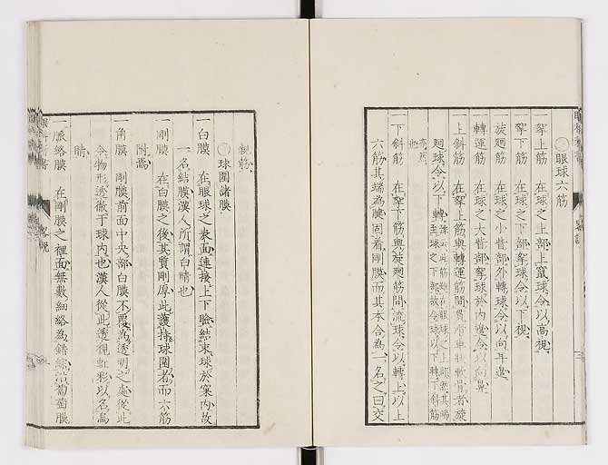 K0025s0010