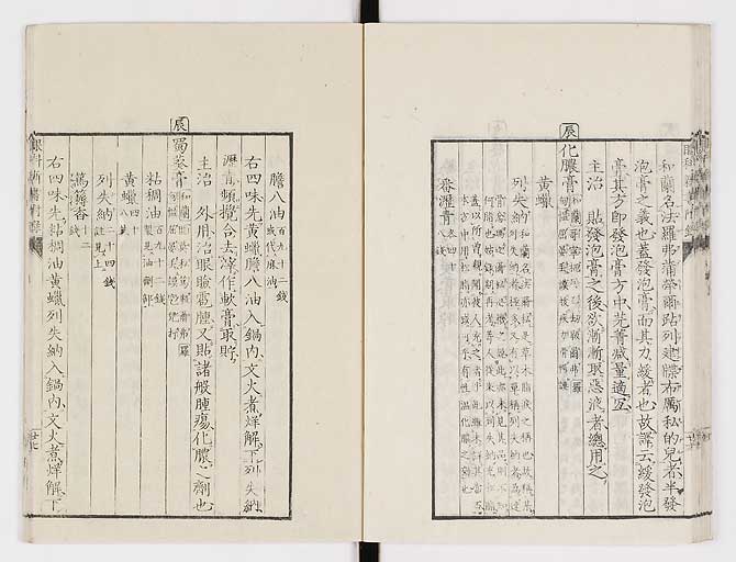 K0025s0241