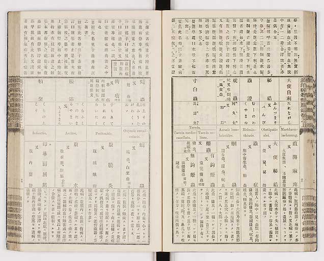 K0026s0041