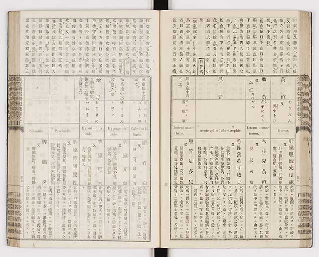 K0026s0043