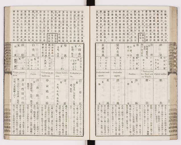 K0026s0060