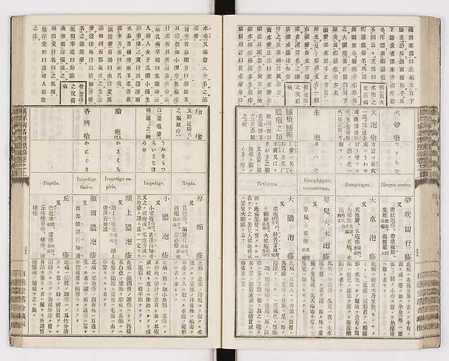 K0026s0064