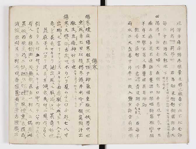 K0028s0006