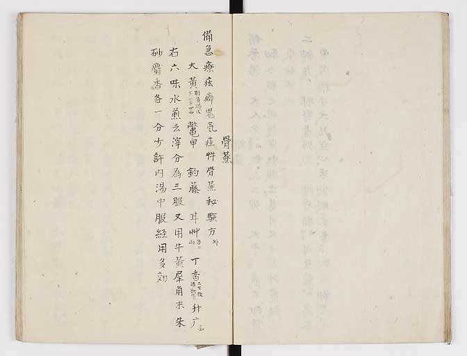 K0028s0019