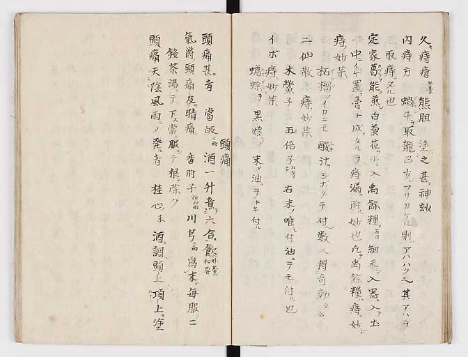 K0028s0029
