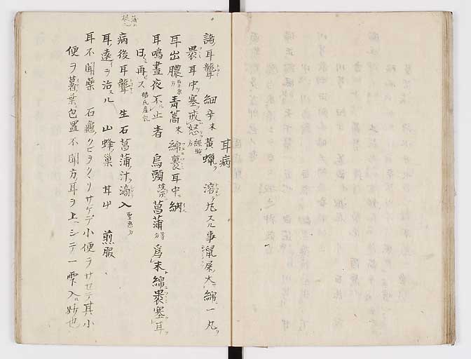 K0028s0031
