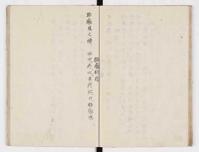 K0028s0041