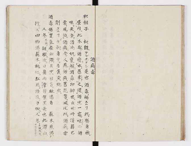 K0028s0044