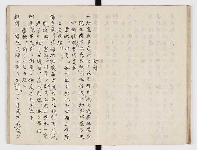 K0028s0046