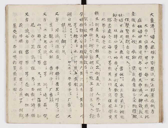 K0028s0052