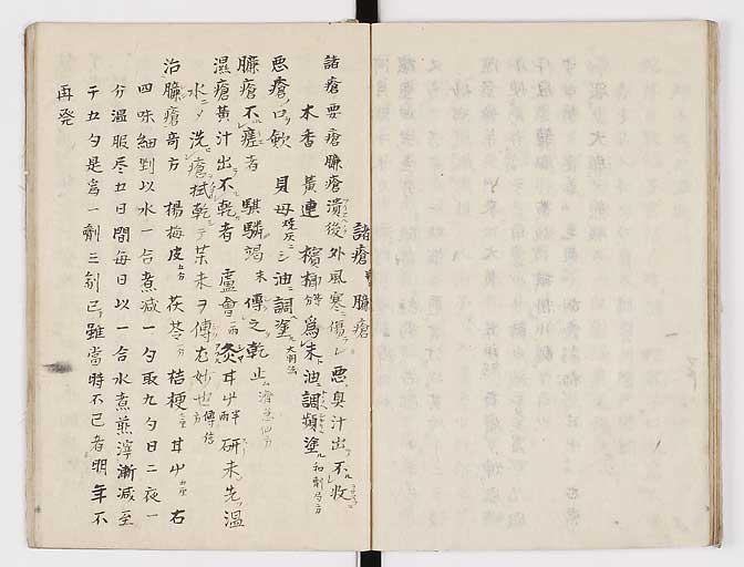 K0028s0061