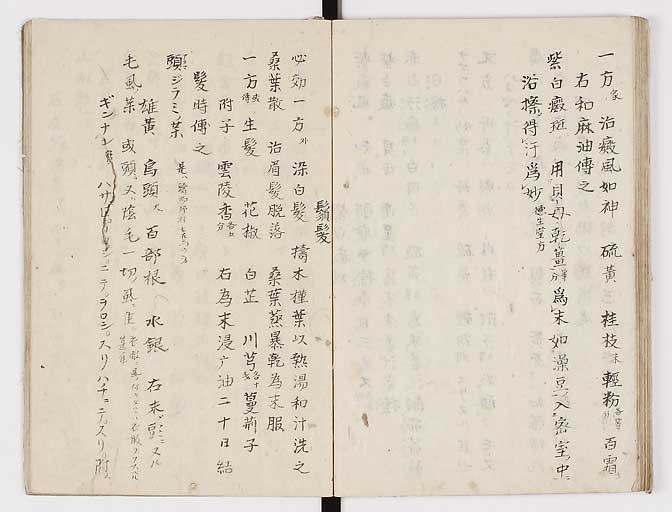 K0028s0065