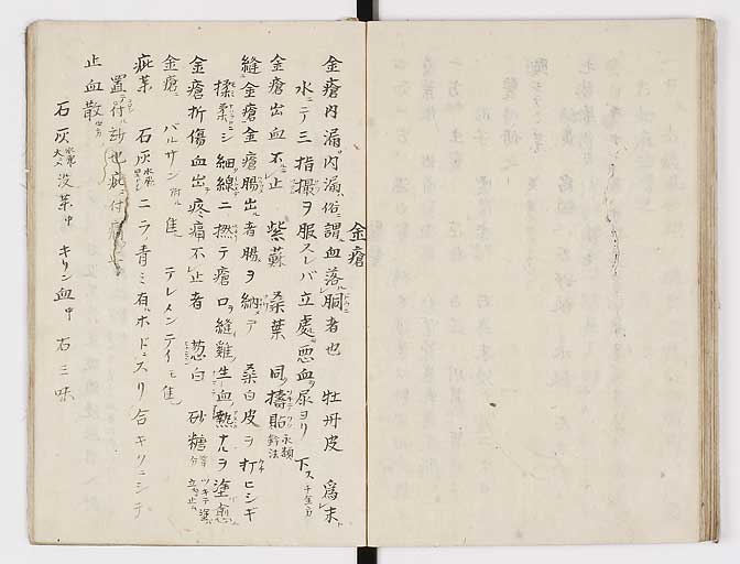 K0028s0066