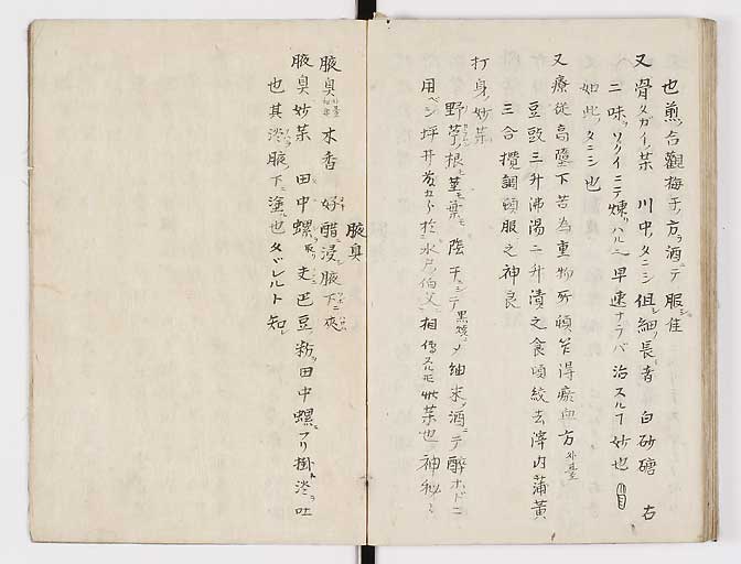 K0028s0076