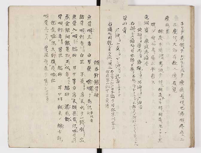 K0028s0081