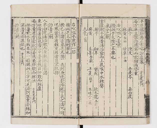 K0029s0199