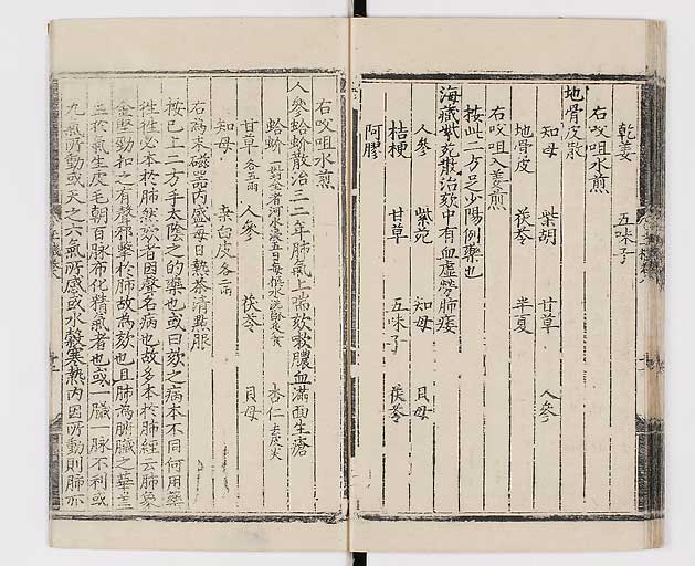 K0029s0202