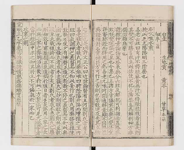 K0029s0231