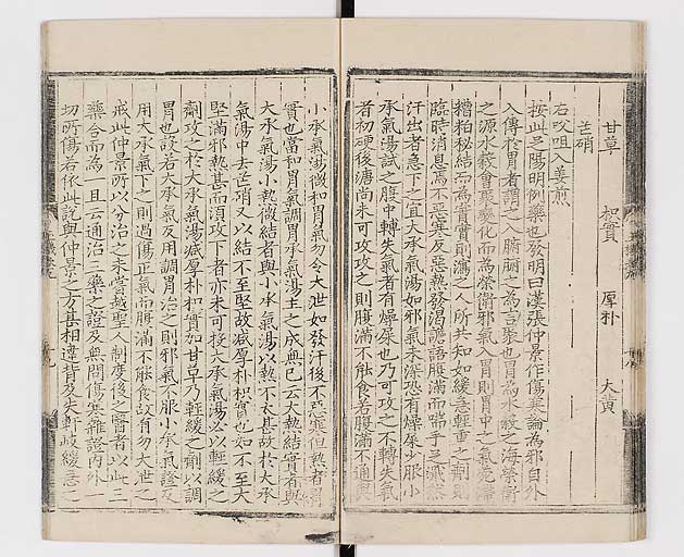 K0029s0232