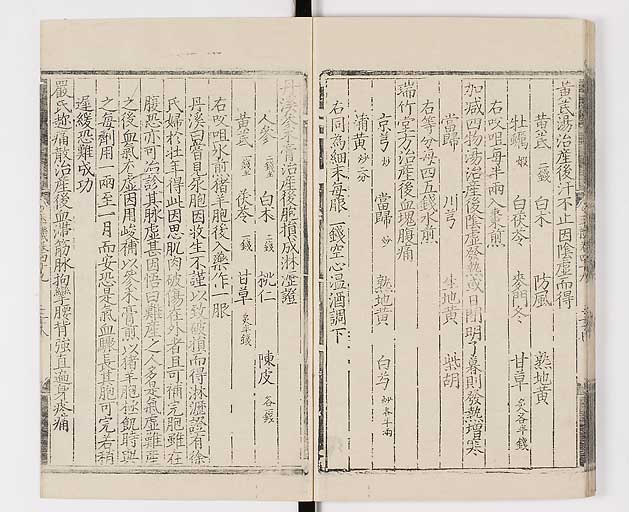 K0029s0819