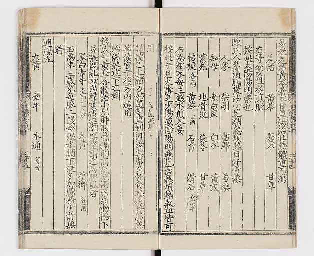 K0029s0861