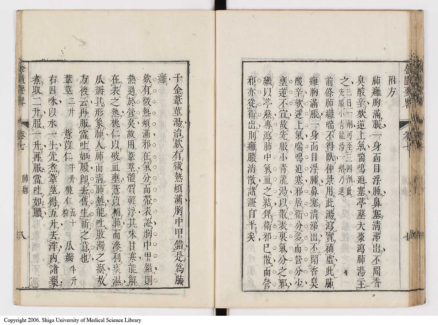 K0032l0119
