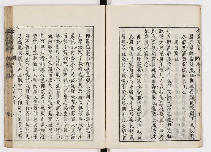 K0032s0256