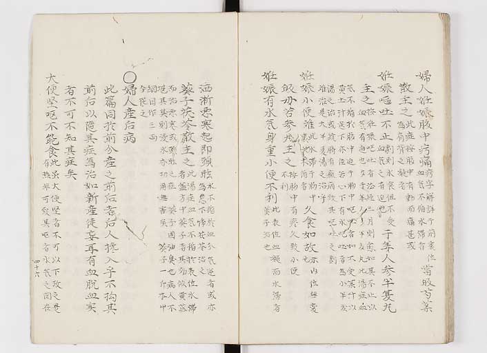 K0033s0052
