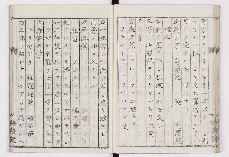 K0035s0032