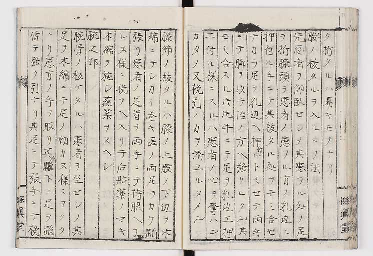 K0035s0041